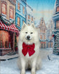 Red Velvet Dog Bow Tie or Sailor Bow - Christmas Dog Gift