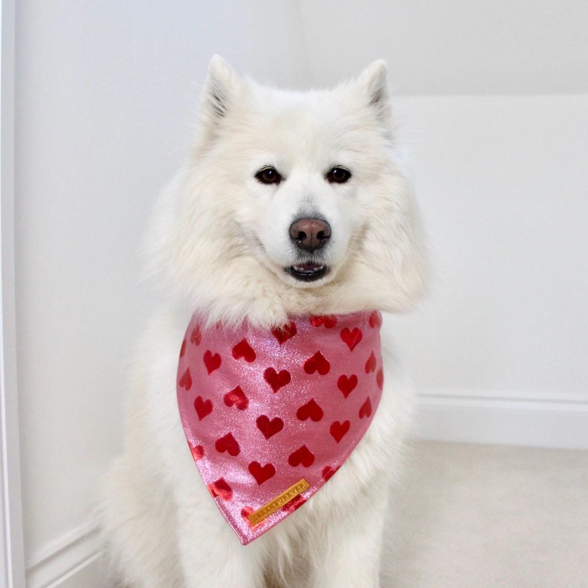 Red and Pink Heart Dog Bandana for Valentines Day