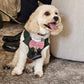 Dark Green Dog Tuxedo Harness with Bow Tie: Pet Wedding Suit Handmade in Norfolk
