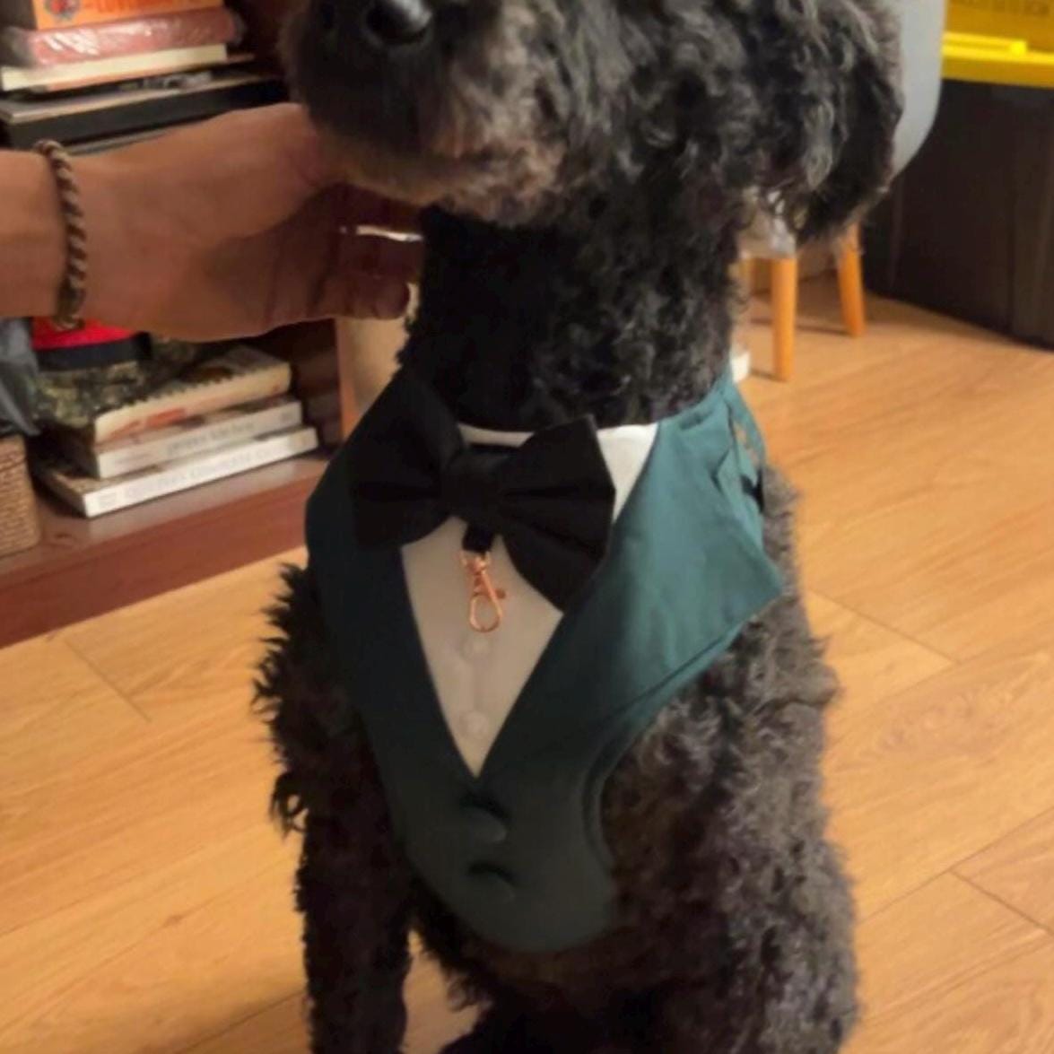 Dark Green Dog Tuxedo Harness with Bow Tie: Pet Wedding Suit Handmade in Norfolk