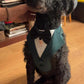 Bespoke Dark Green Dog Tuxedo Harness: Wedding Pup Ring Bearer Outfit
