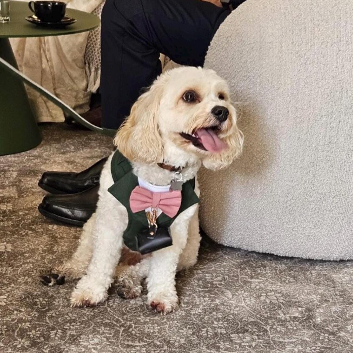 Bespoke Dog Wedding Tuxedo Harness: Dark Green Formal Suit for Dog of Honour