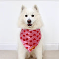 Red and Pink Heart Dog Bandana for Valentines Day