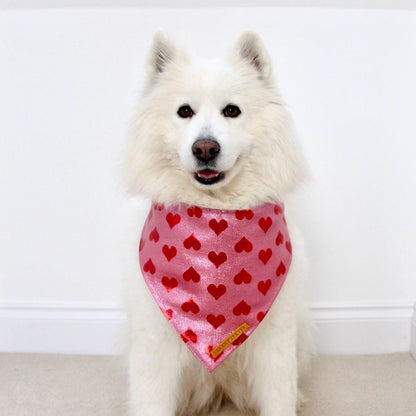 Red and Pink Heart Dog Bandana for Valentines Day