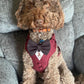 Bespoke Burgundy Red Formal Dog Tuxedo Harness: Custom Wedding Attire for Dogs