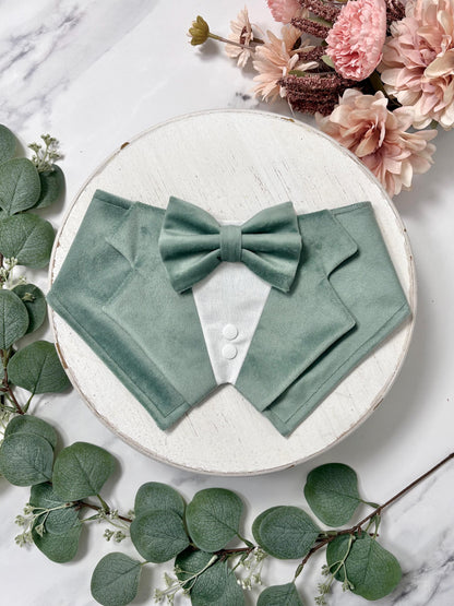 Sage Velvet Wedding Dog Tuxedo Bandana, Pet Ring Bearer Outfit