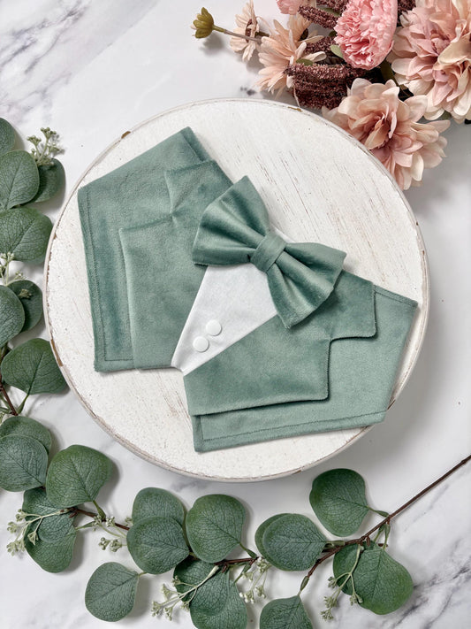 Sage Velvet Wedding Dog Tuxedo Bandana, Pet Ring Bearer Outfit
