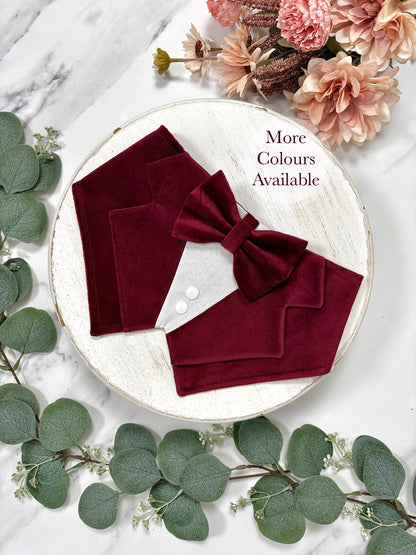 Wine Red Velvet Dog Tuxedo Bandana: Wedding Ring Bearer Outfit