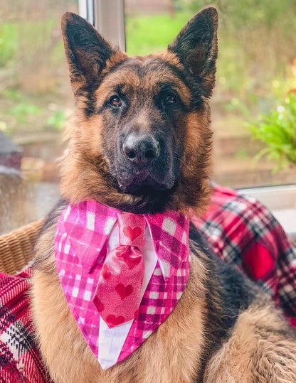 Valentine’s Day Dog Bandana Necktie, Pink Plaid and Red Hearts Pet Scarf