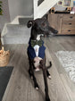Navy Blue Wedding Dog Tuxedo Bandana, Ring Bearer Outfit For Pets