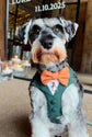 Bespoke Dark Green Dog Tuxedo Harness: Wedding Pup Ring Bearer Outfit