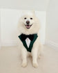 Bespoke Dog Wedding Tuxedo Harness: Dark Green Formal Suit for Dog of Honour