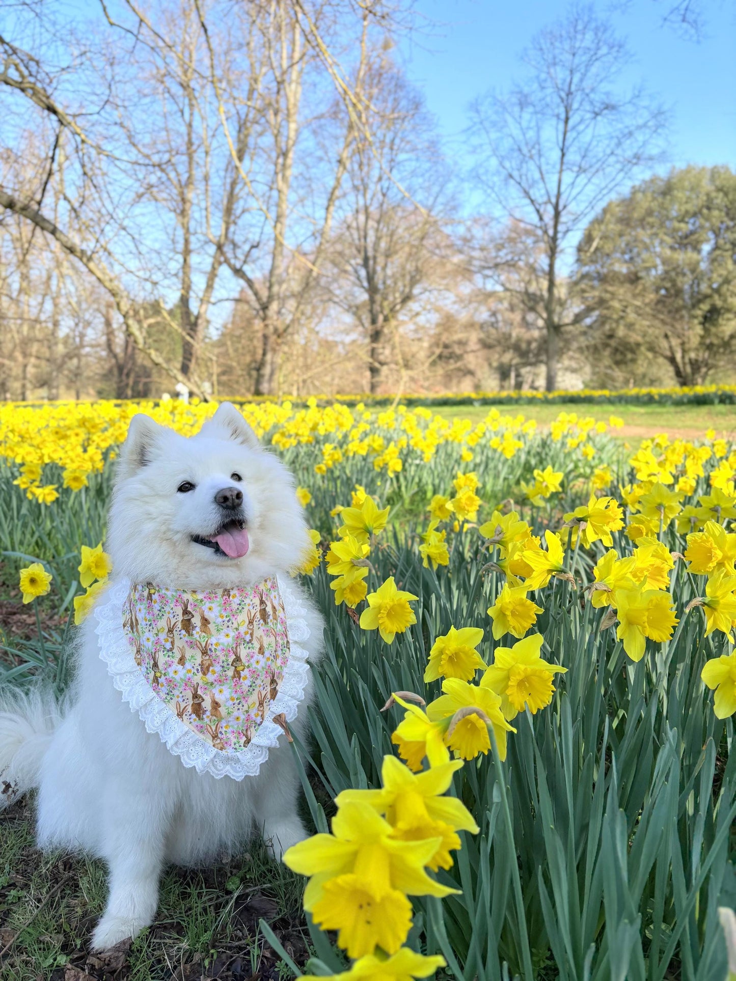Easter Bunny Dog Bandana with Ruffle, Daffodil Spring Pet Bandana