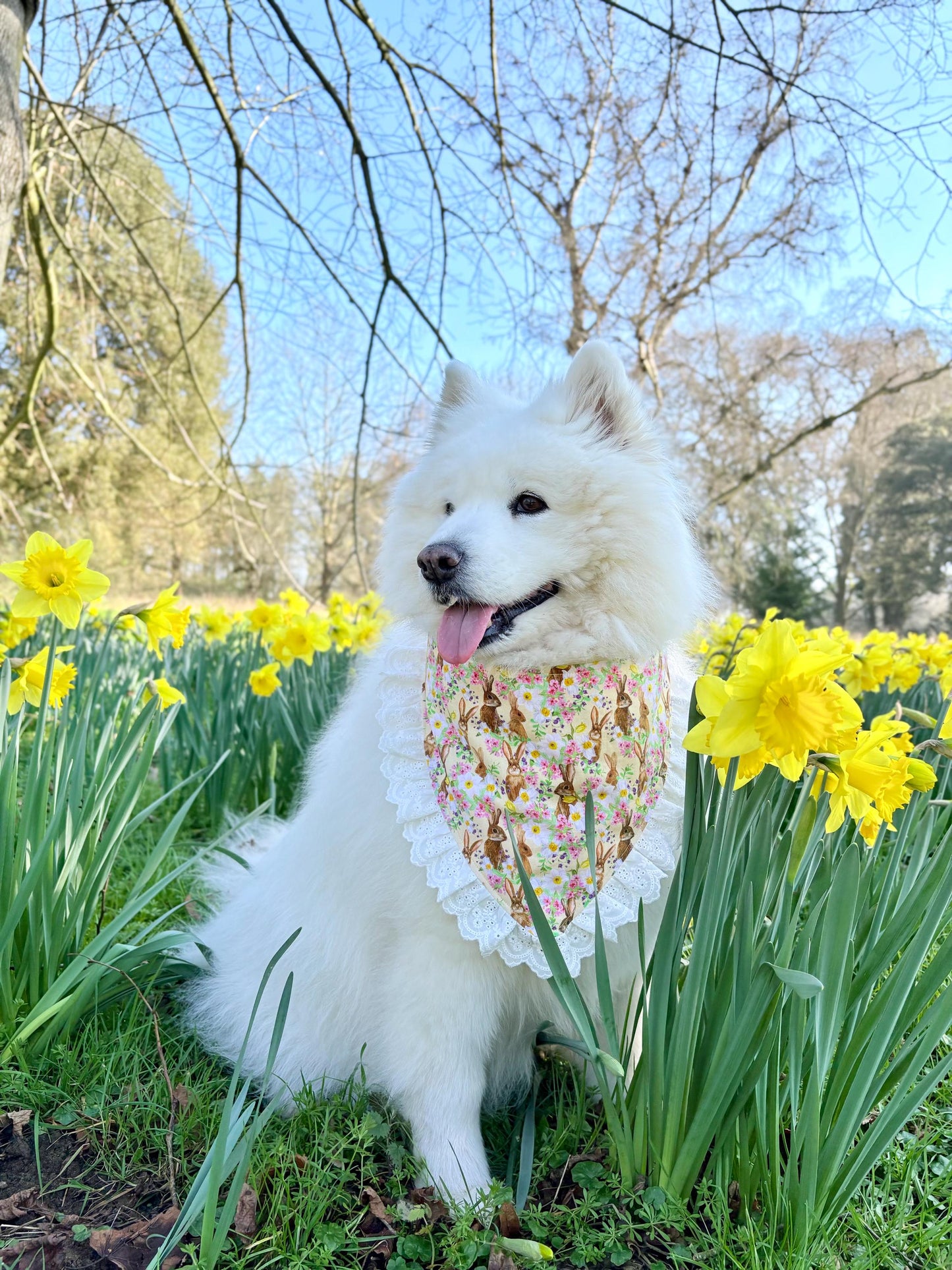 Easter Bunny Dog Bandana with Ruffle, Daffodil Spring Pet Bandana