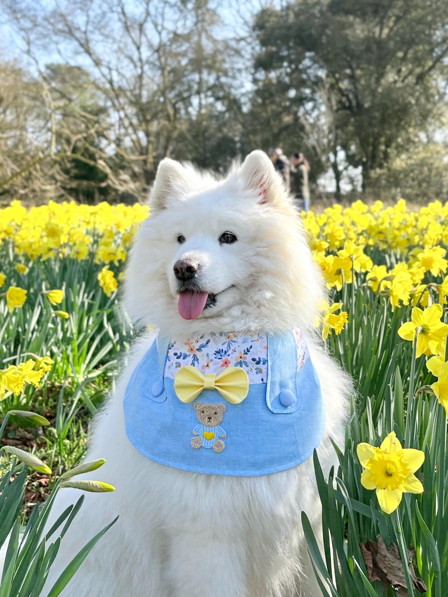 Light blue Dungarees Dog Bandana with Spring Flowers