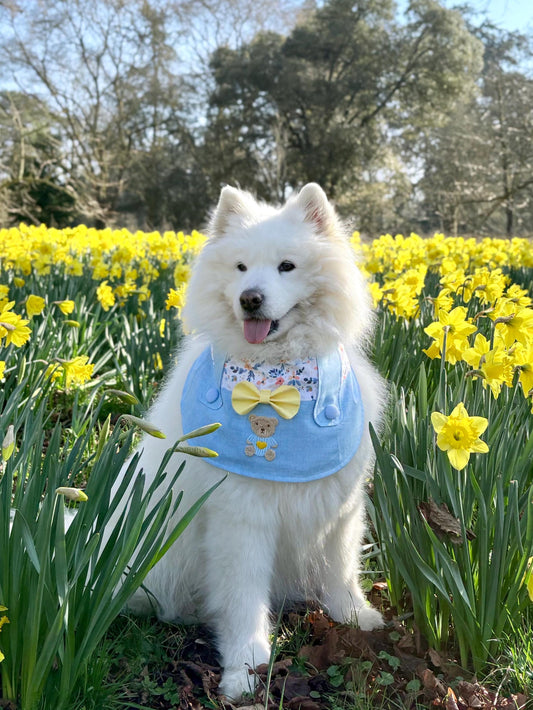 Light blue Dungarees Dog Bandana with Spring Flowers