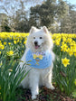 Light blue Dungarees Dog Bandana with Spring Flowers