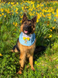 Light blue Dungarees Dog Bandana with Spring Flowers