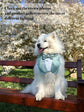 Sage Green Wedding Dog Tuxedo Bandana, Ring Bearer Style Available, More Colours Available