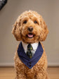 Navy Wedding Dog Suit Bandana with Tie, Bespoke Pet Wedding Outfit