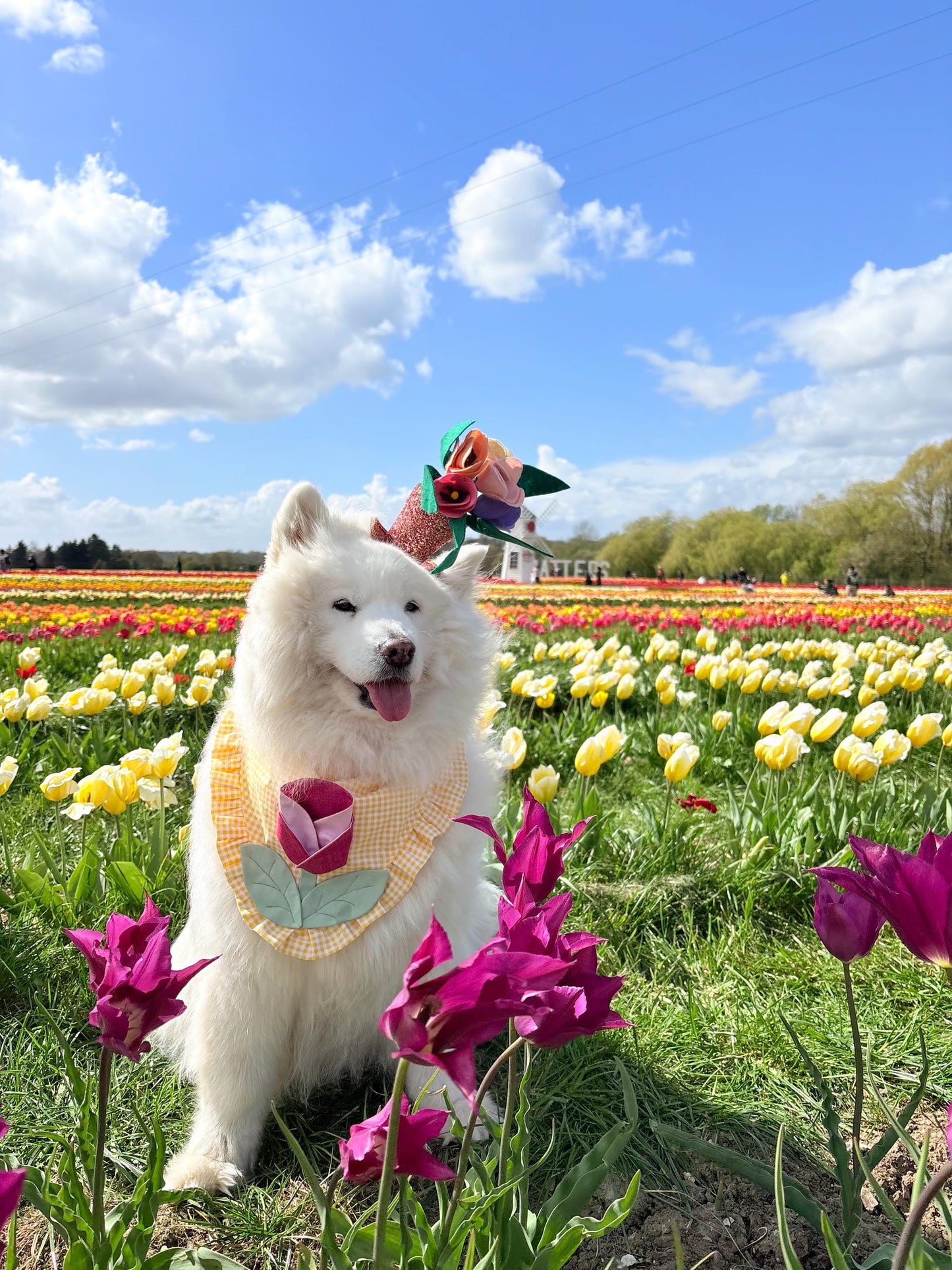 Tulip Dog Bandana, Yellow Gingham Spring Pet Scarf, Cotton Snap-On Accessory