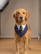 Navy Wedding Dog Suit Bandana with Tie, Bespoke Pet Wedding Outfit