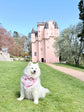Taupe Wedding Dog Tuxedo Bandana, Ring Bearer Style Available, More Colours Available
