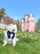 Black Watch Tartan Dog Tuxedo Bandana, Scottish Checks Dog Waistcoat for Clan Campbell