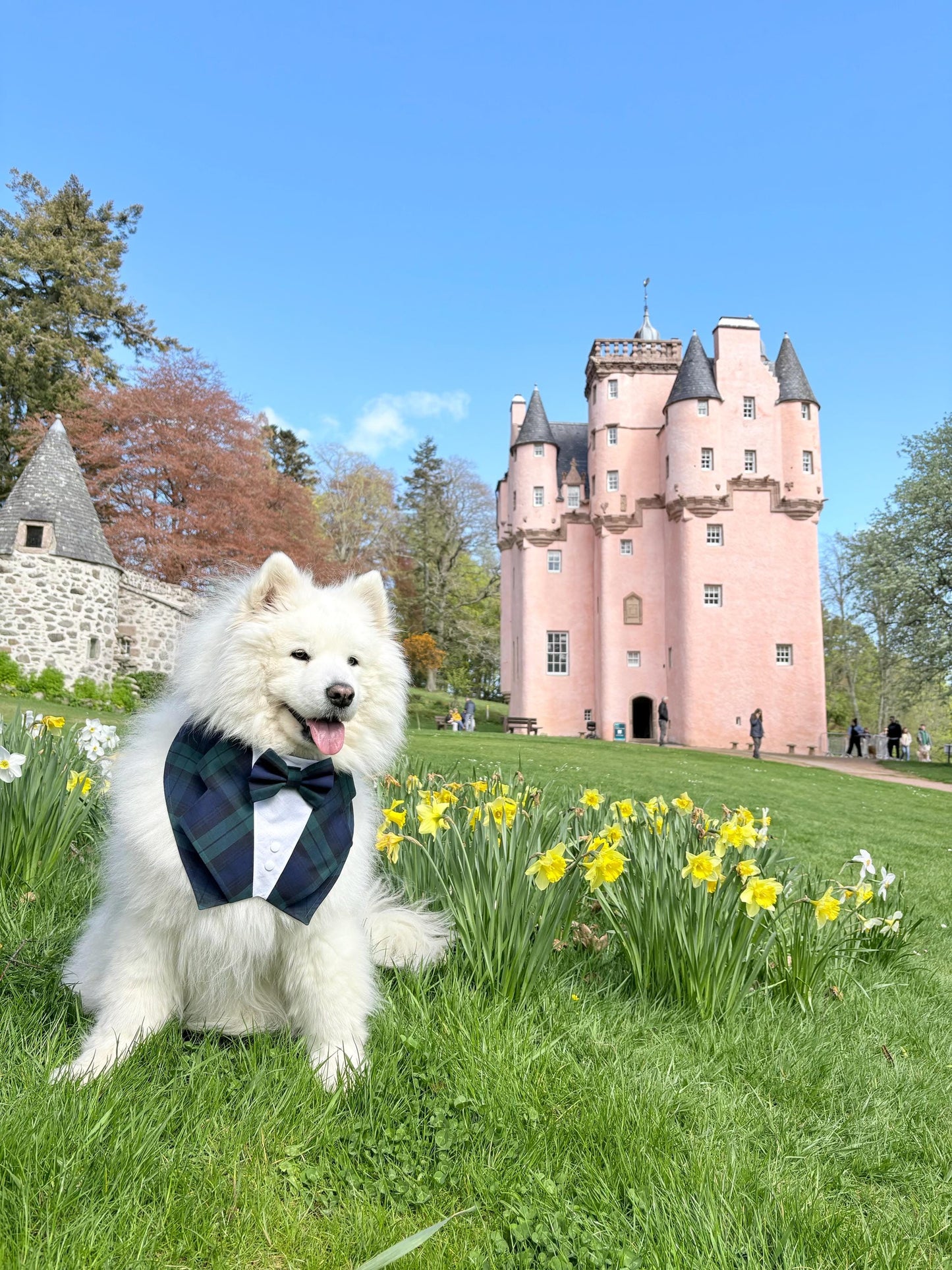 Black Watch Tartan Dog Tuxedo Bandana, Scottish Checks Dog Waistcoat for Clan Campbell