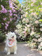 Dahlia Flower Dog Bandana with Ruffles