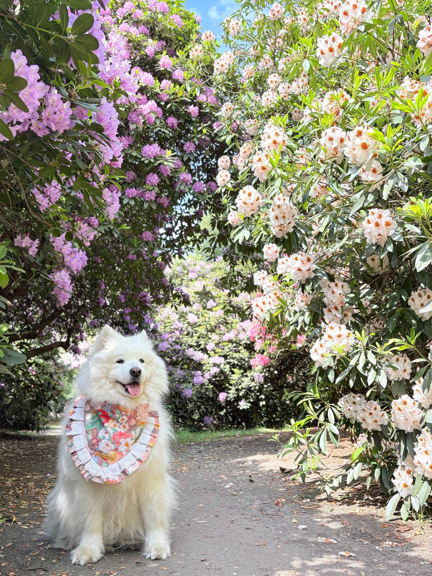 Dahlia Flower Dog Bandana with Ruffles