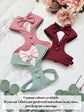 Bespoke Burgundy Red Formal Dog Tuxedo Harness: Custom Wedding Attire for Dogs