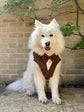 Bespoke Dark Brown Tuxedo Harness with Custom Bow Tie, Wedding Suit for Dog