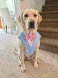 Made-to-Measure Pale Blue Wedding Dog Tuxedo Harness with Navy Bow Tie: Custom Ring Bearer Outfit for Pets