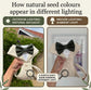 Natural Dog Tuxedo Harness with Bow Tie, Bespoke Neutral Ring Bearer Outfit