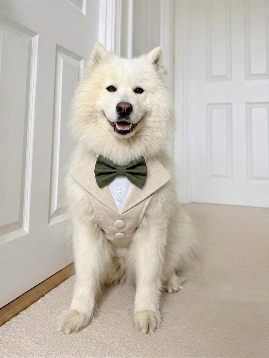 Natural Dog Tuxedo Harness with Bow Tie, Bespoke Neutral Ring Bearer Outfit