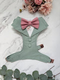 Bespoke Sage Green Wedding Suit for Dogs: Tuxedo Harness