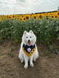 Navy Wedding Dog Suit Bandana with Tie, Bespoke Pet Wedding Outfit