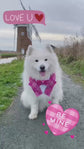 Pink Tartan Dog Tuxedo Bandana with Bow Tie