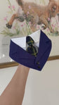 Navy Wedding Dog Suit Bandana with Tie, Bespoke Pet Wedding Outfit