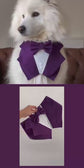 Dark Purple Wedding Dog Tuxedo Bandana: Ring Bearer Outfit, Handmade in Norfolk