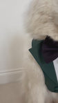 Bespoke Dog Wedding Tuxedo Harness: Dark Green Formal Suit for Dog of Honour