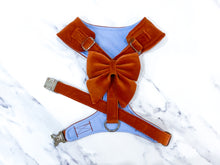 Load image into Gallery viewer, Cinnamon velvet dog harness bundle