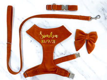 Load image into Gallery viewer, Cinnamon velvet dog harness bundle