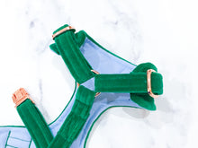 Load image into Gallery viewer, Emerald green velvet dog harness bundle