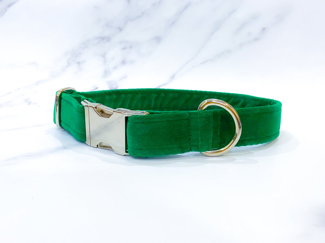Emerald green velvet dog collar