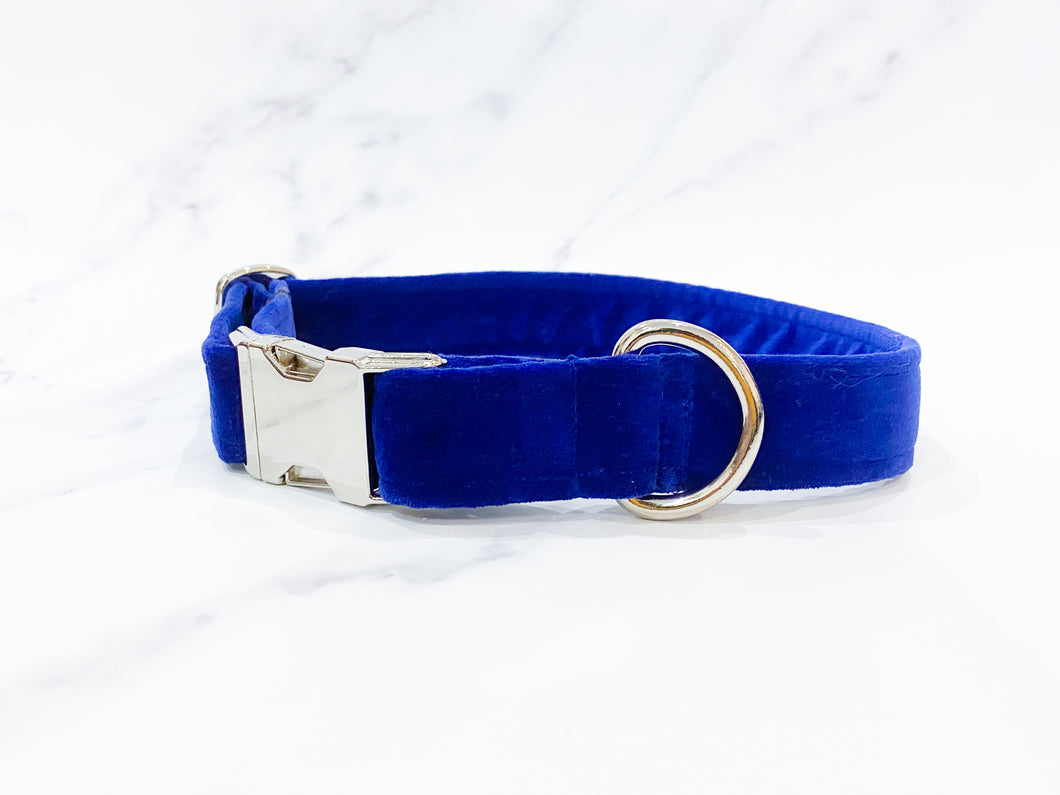Royal blue velvet dog collar