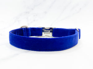 Royal blue velvet dog collar