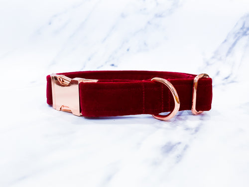 Burgundy red velvet dog collar