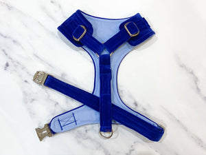 Royal blue velvet dog harness